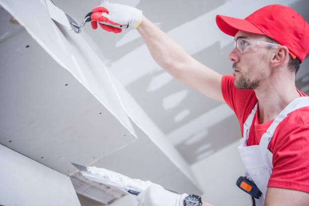 Reliable White City, FL Drywall & Painting Services Solutions